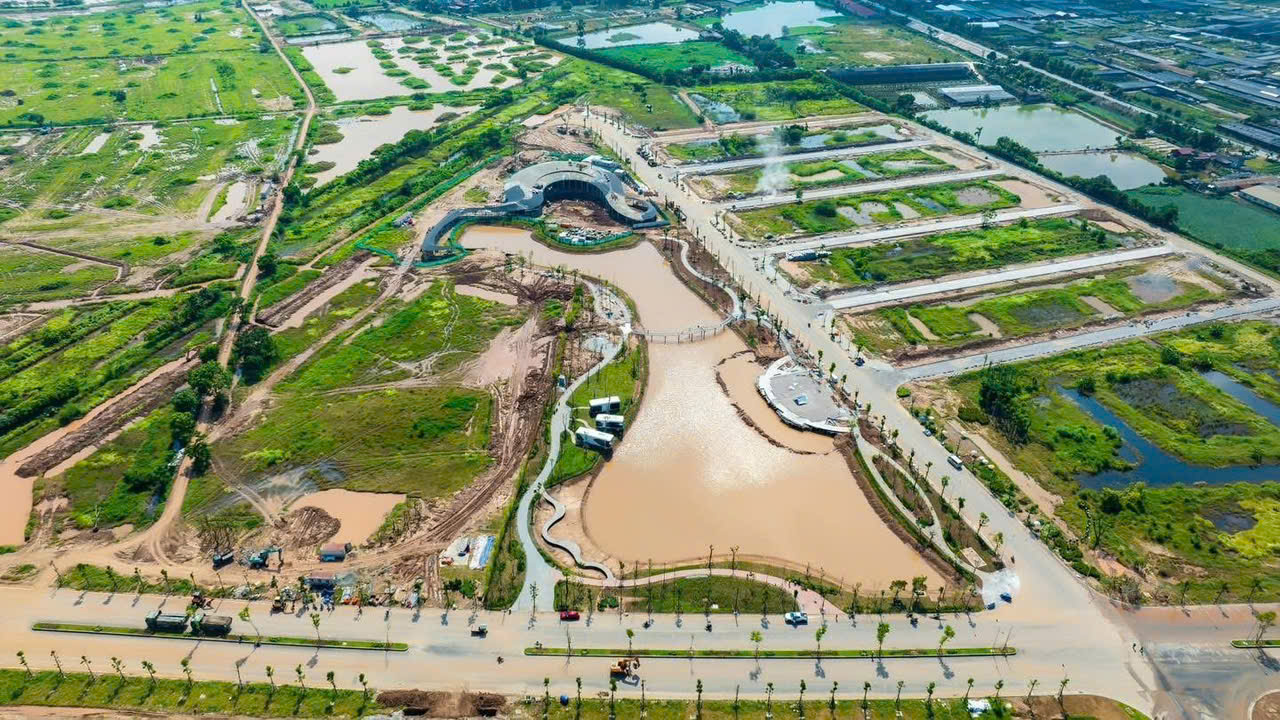 víaoduanalluviaxuancauduocdanhgiacao